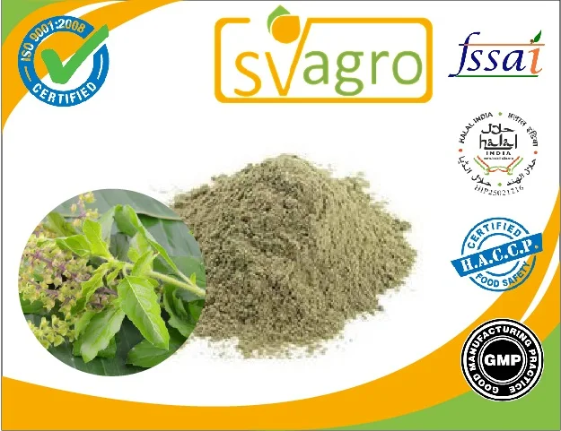 Water soluble Holy Basil Tulsi Ocimum tenuiflorum  tulasi Ocimum Sanctum Extract manufacturing herbal extract from india