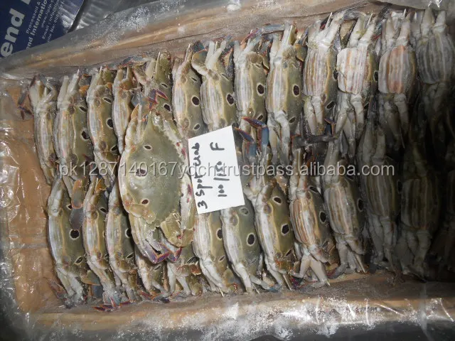 Frozen 3 Spot Crab - Mud Crab - Blue Swimming Crab