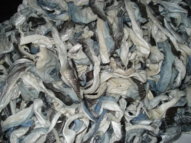 Frozen Pangasius Steak / Frozen Pangasius WHATSAPP +84 845 639639 Ms. Holiday