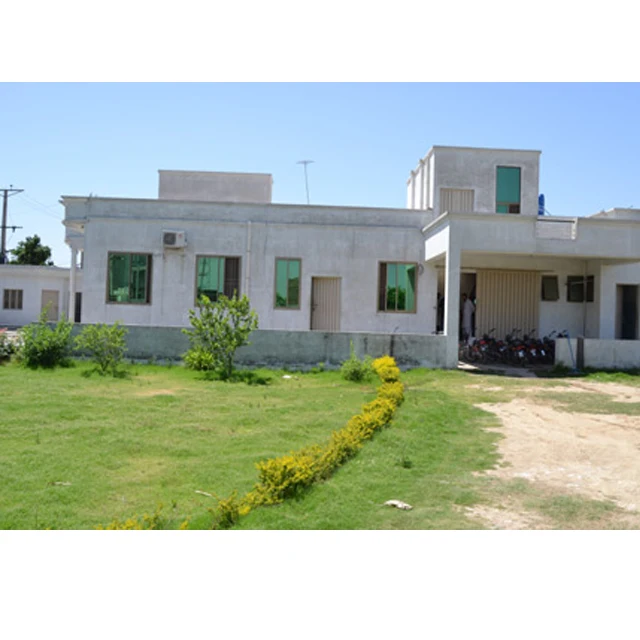 Golf Gloves | Leather