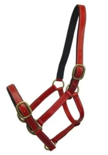 Холтер из ПВХ с разными цветами