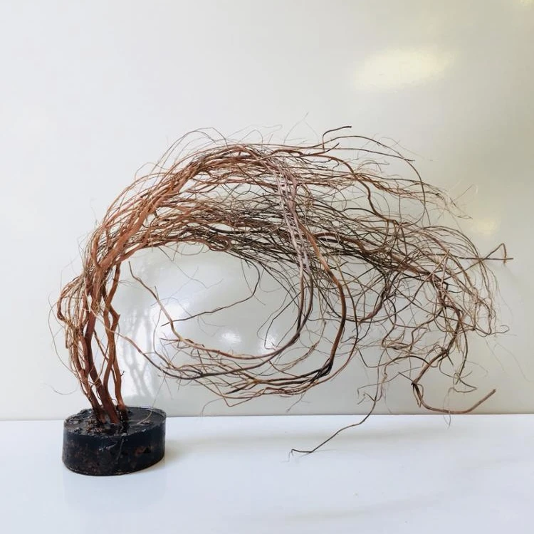 Nano aquarium driftwood