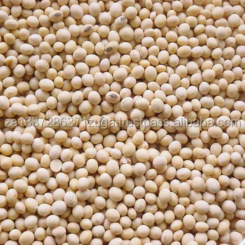 
Quality Non GMO Soybeans Seeds 