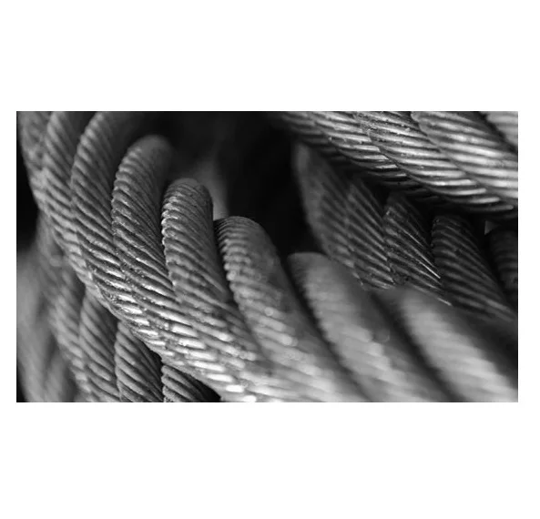 gym cable with nylon pa12 coated steel wire rope ( steel wire rope)