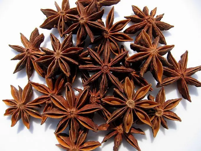 Whole Star Anise Vietnam Factory Export Best high quality Price factory Hanfimex natural forest Vetnam Origin 0084374074818