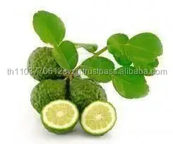 Dried Kaffir Lime Leaves 100% Natural Product of Thailand