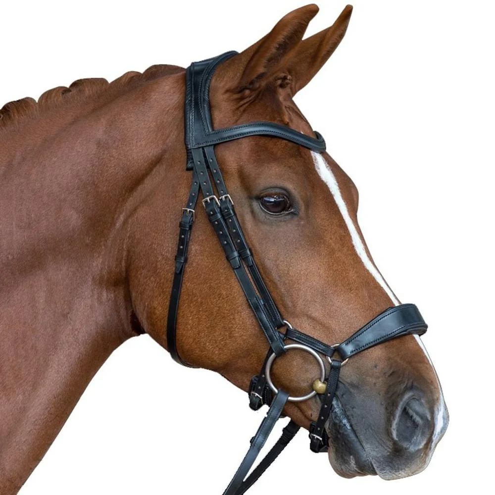 Anatomic Dressage Noseband Snaffle Bridle /Black Full Anatomical Flash Bridle/Anatomically shaped dressage snaffle bridle