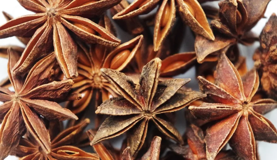 Whole Star Anise Vietnam Wholesale Grade 1 Price factory Hanfimex natural forest Vietnam Origin hot seller Autumn new crop