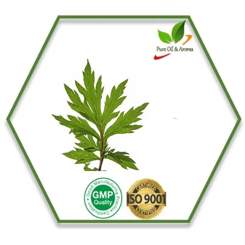 Natural Aroma Hot Selling Davana Essential Oil 100% Pure And Natural