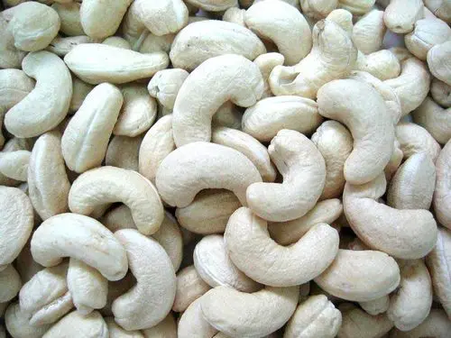 Cashew nut kernels WW240 BRC factory Vietnam Origin high quality competitive cheap price Hanfimex top supplier