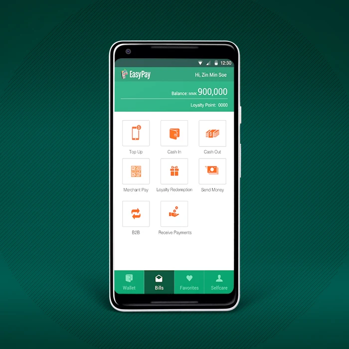 Мобильное программное обеспечение для платежа денег | Лучшие мобильные платежи и мобильные платежные решения от Protolabz eser