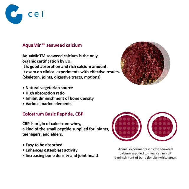 Здоровье и предотвратить остеопороз совместной кость и оказывает дальнейший правильный уход за ногой расти кальция мульти пищевые добавки для пожилых людей