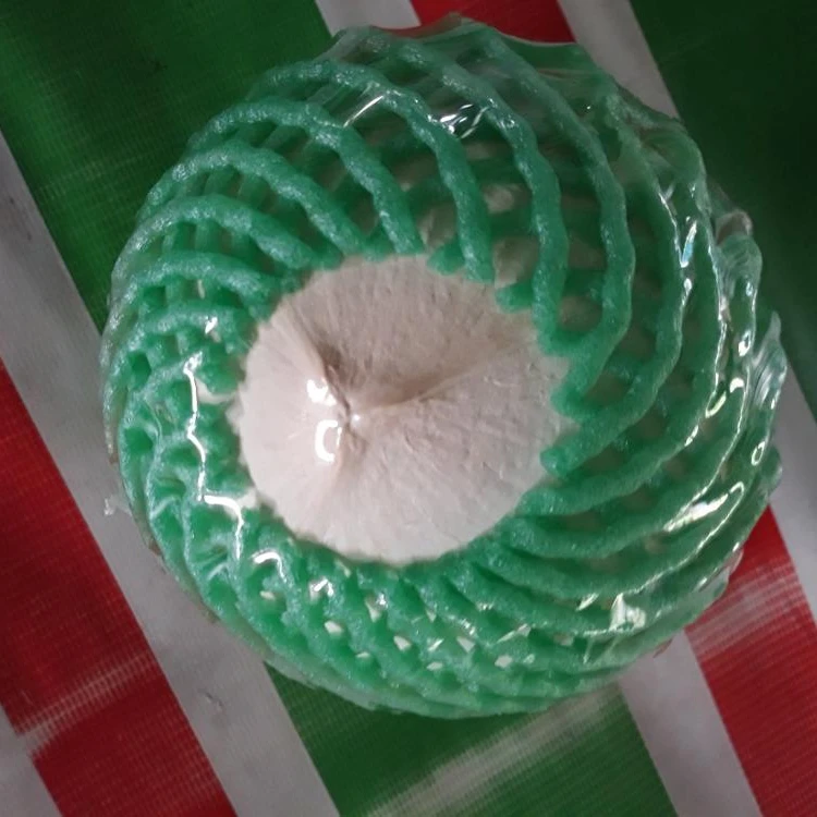 
Polished Coconut Viet Nam 