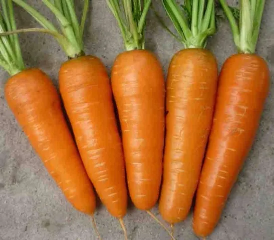 Good quality and price for carot FROM VIETNAM/WHATSAPP 84845639639