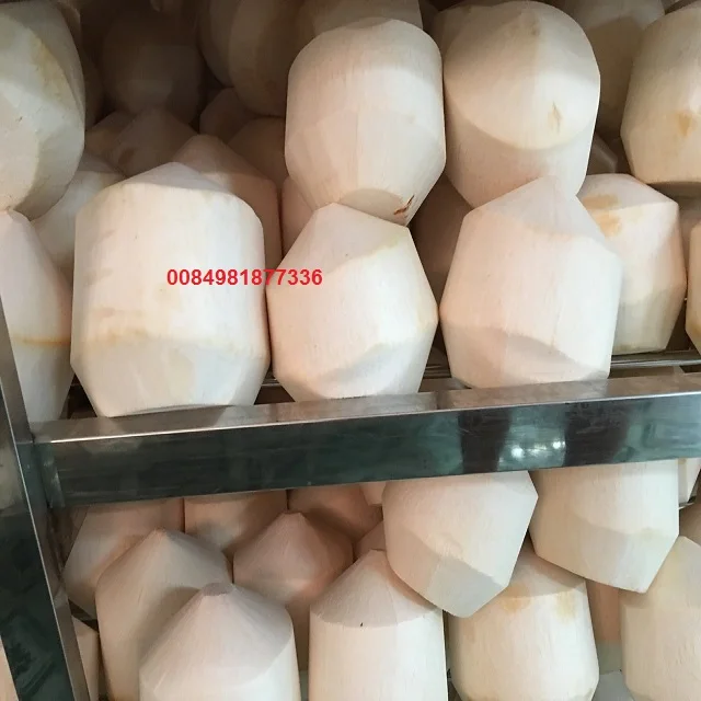 RED DRAGONFRUIT, WHITE DRAGON FRUIT