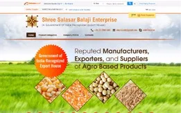 
Alibaba Homepage Design and Development Business in India 