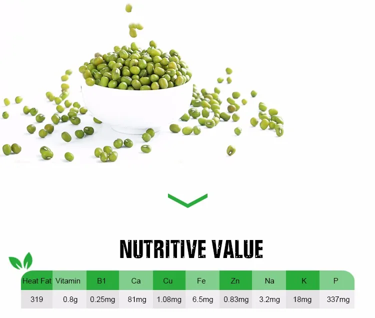 Vigna radiata - Ethiopia Mung Beans Green