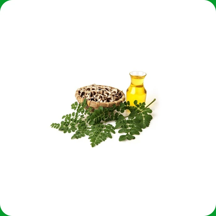 Экономически эффективным масло Моринги Полезное Как Антибактериальная и анти-опухоли