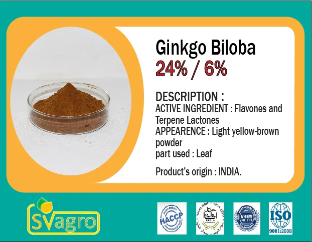 Ginkgo biloba Flavone Glycosides HPLC GMP