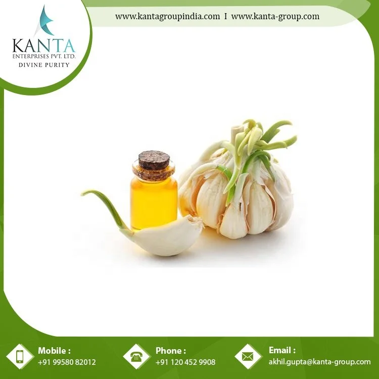 Natural Anti-Oxidant Garlic Essential Oil with Private Label Used for Skin Care low price