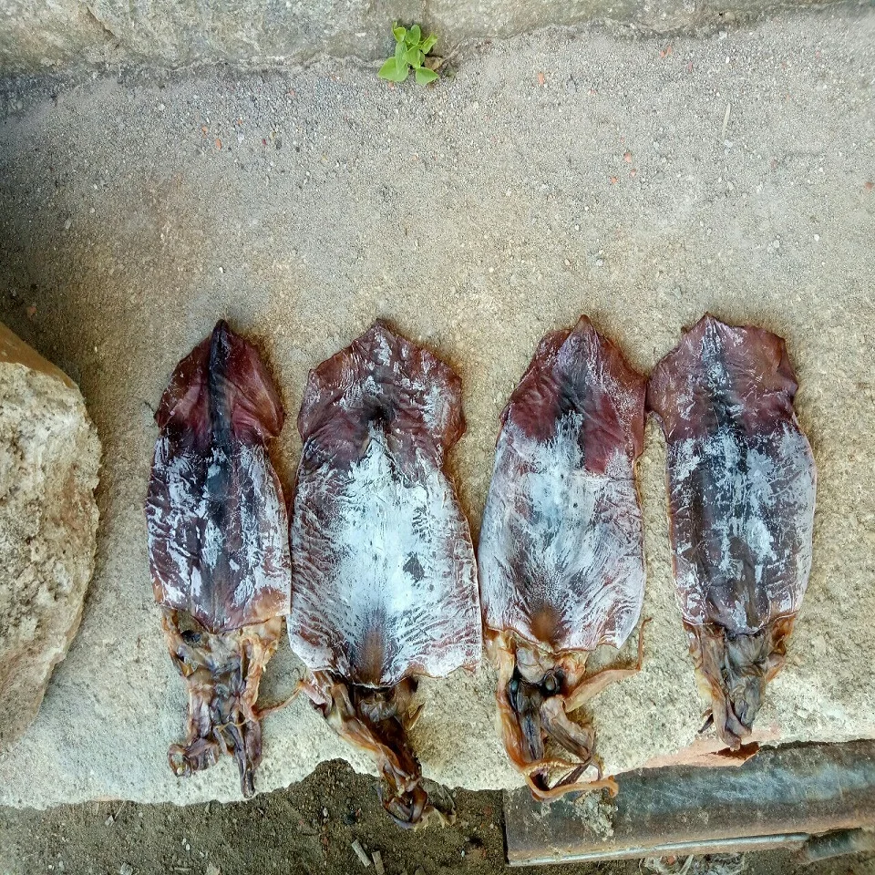 
Vietnam dried black squid lowest price 