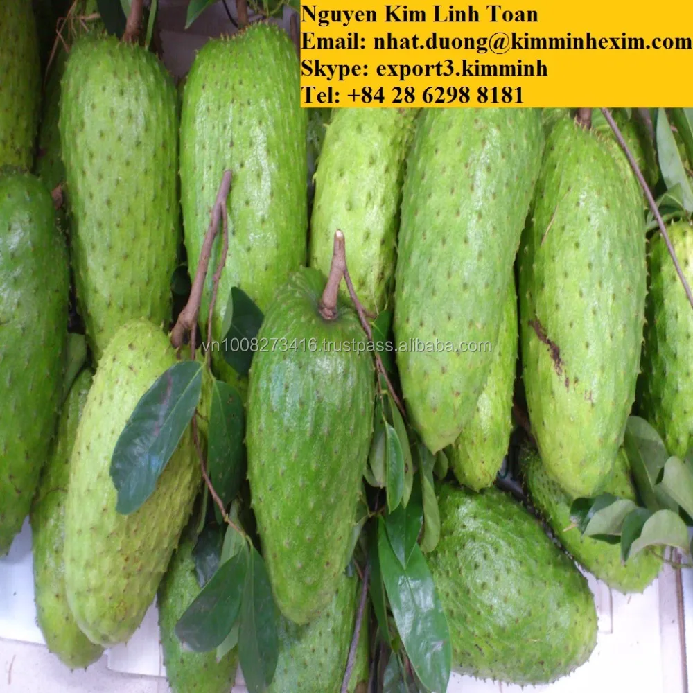 FRESH SOURSOP FRUIT (GRAVIOLA)