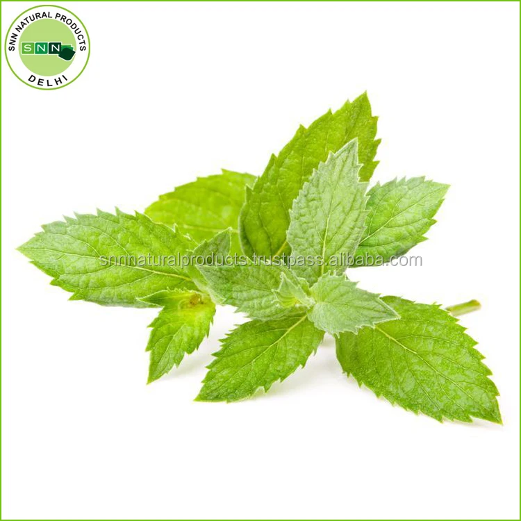 Leading of Pure Spearmint Leaves Oil For Fragrance
