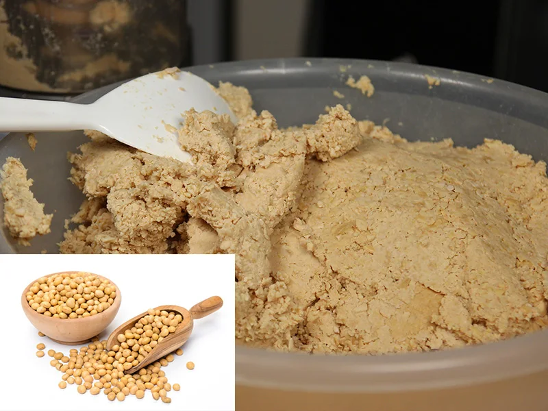 ROASTED SOYBEAN FLOUR FROM VIETNAM GOOD PRICES