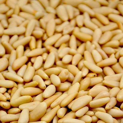 pine nuts importers