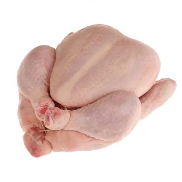 Frozen Chicken