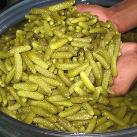 Маринованные огурцы Перкинс Корнишоны