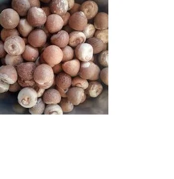 Поставщик betel nut chew