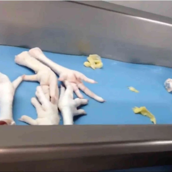 
Frozen Halal Chicken Leg quarters, (Grade A). 