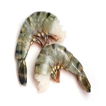 Frozen White Vannamei/ Black Tiger Shrimps/  White Shrimps at a moderate costs