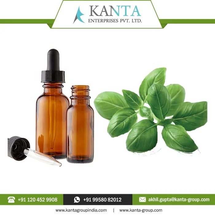 100% Pure and Natural Basil Essential Oil Reducing disease-causing inflammation Low Price from India