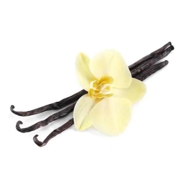 Factory Price High Quality Vanilla Beans Essential Oil at Best Price from India