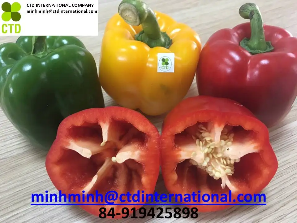
red bell pepper from vietnam processor 