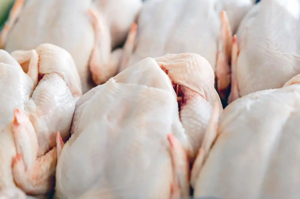 Buy Halal A Grade Frozen Whole Chicken From Brazil