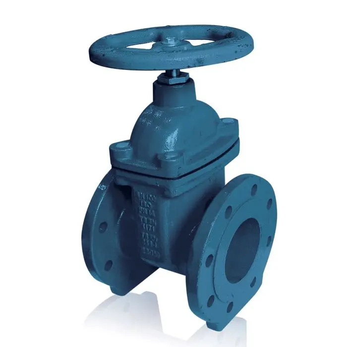 DN150 Gate Valve (Metal Seated)