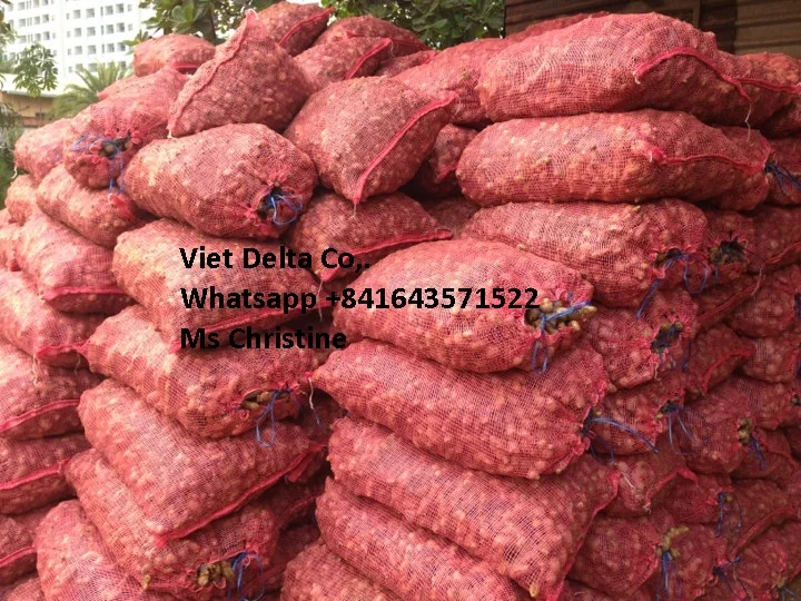 price per ton of fresh ginger from Vietnam