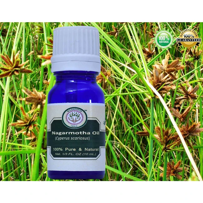 Top Quality Cypriol Oil 30%/Nagarmotha