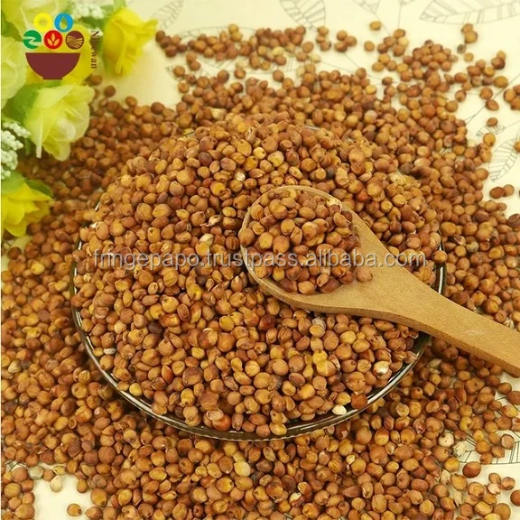 Sorghum Animal Feed