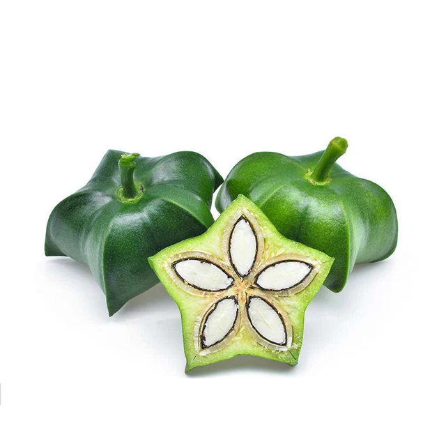 Sacha Inchi Seeds Wholesale - Inca Peanut - Peru Sacha Inchi