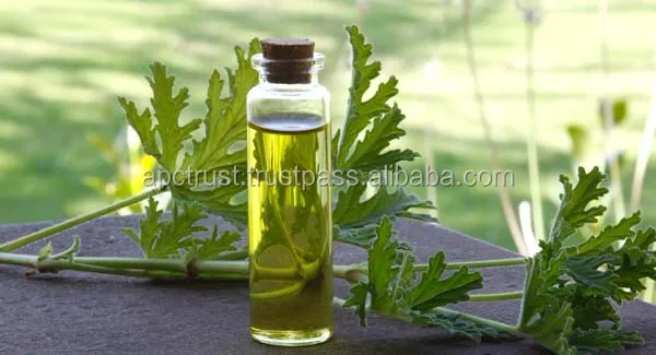 Geranium oil Natural 100% Pure Essential Oil Egyptian perfume