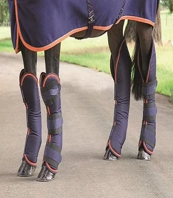 High quality horse riding boot manufacturer INDIA