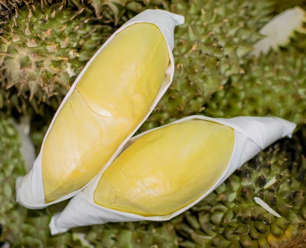 
Premium Fresh Durian 