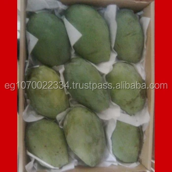 fresh mango fruit ready to export to Malta