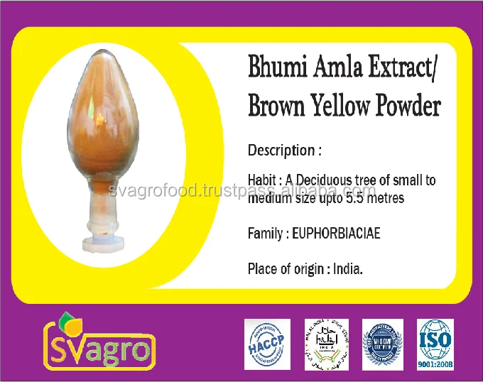 Phyllanthus emblica extract Amla Extract Gooseberry Extract Emblica officinalis Extract
