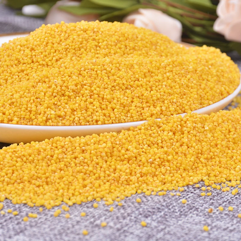 
Organic Yellow Hulled Millet Grain / Seed 
