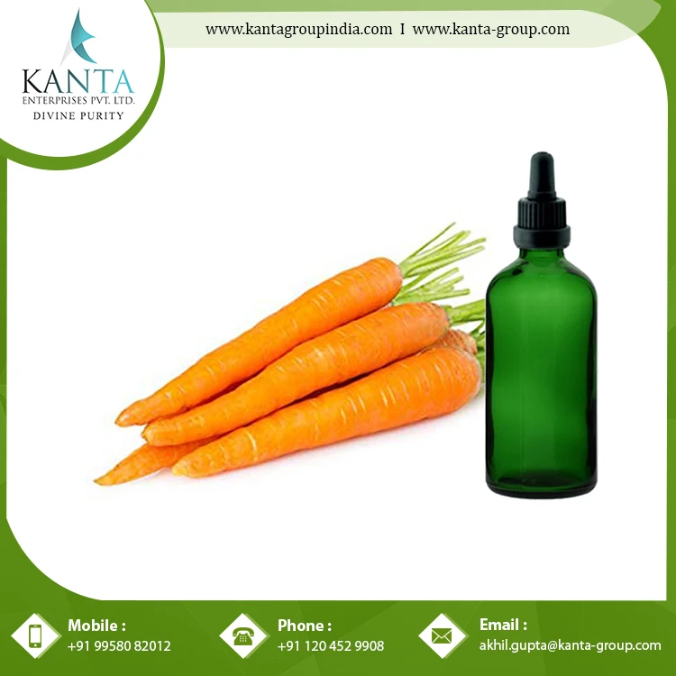 Organic Carrot Seed Oil with Antifungal and Antibacterial properties might help with skin infections from Indian Supplier